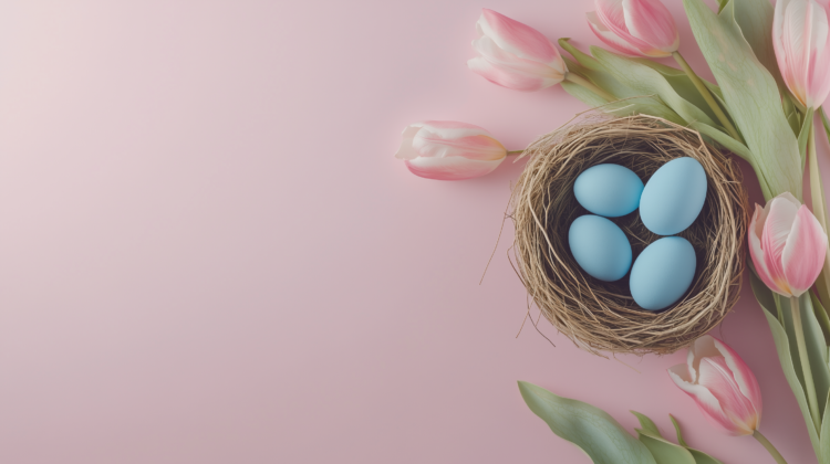 Blue Easter eggs in a bird's nest with pink tulips on a pastel background, flat lay with copy space.