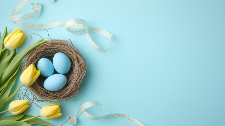 Blue eggs in a nest with yellow tulips and a ribbon on a pastel light blue table, top view.