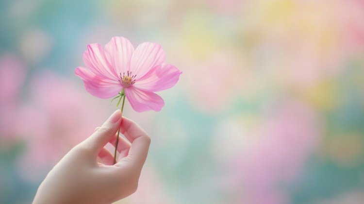 Close-up of a hand holding a pink cosmos flower against a blurred pastel background, with copy space.