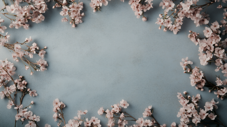 Pink cherry blossoms frame a blue background, leaving copy space in the center.