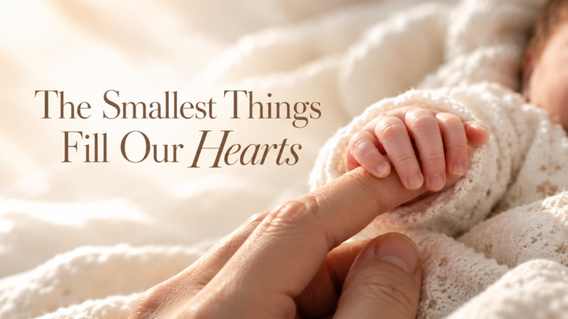 Close-up of a tiny newborn hand gently holding an adult finger, wrapped in soft white knit fabric.